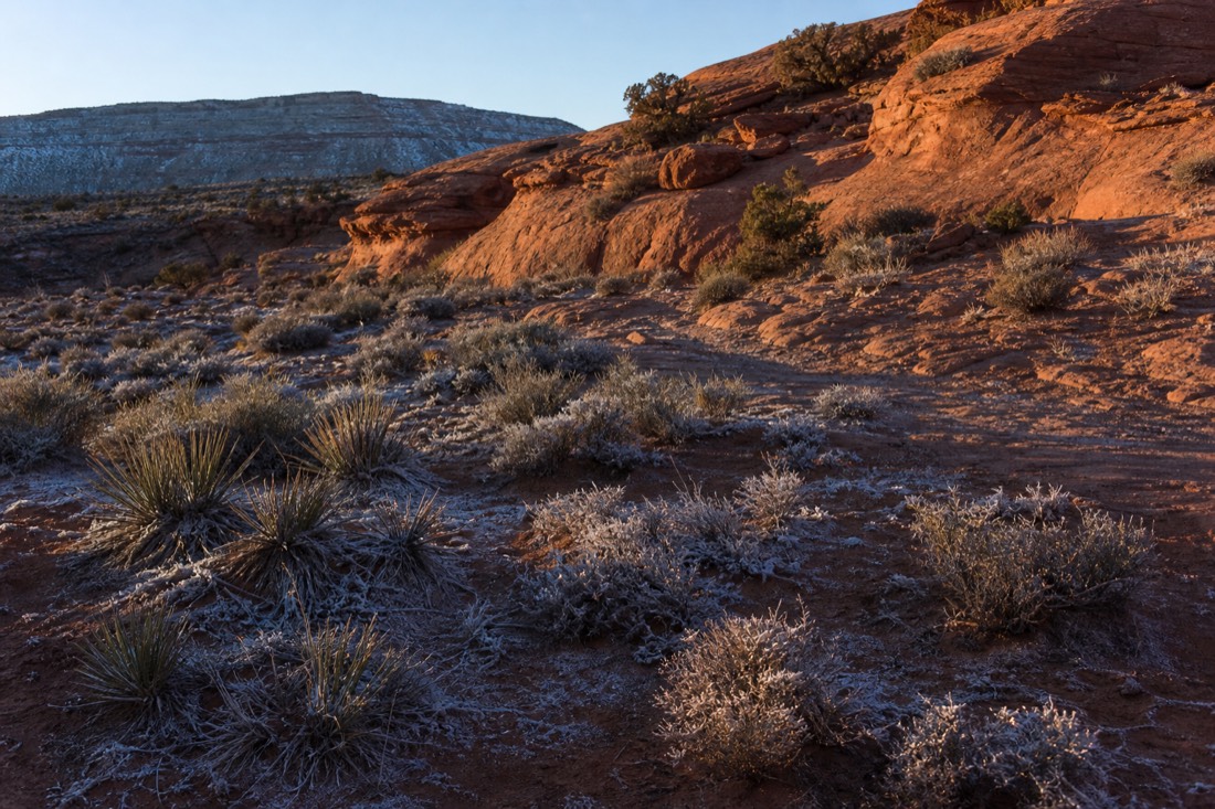 Low winter sun casting long shadows across frost-touched desert scrub near Page, Arizona