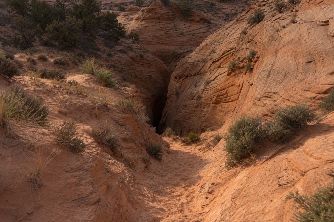 Sandy hiking path descending through open desert toward the mouth of a slot canyon