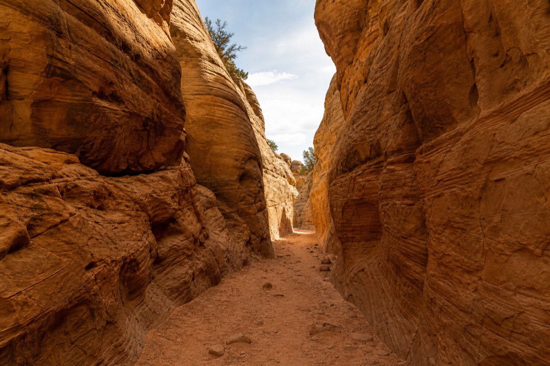 Guided group walking one direction through a glowing sandstone corridor with open sky above